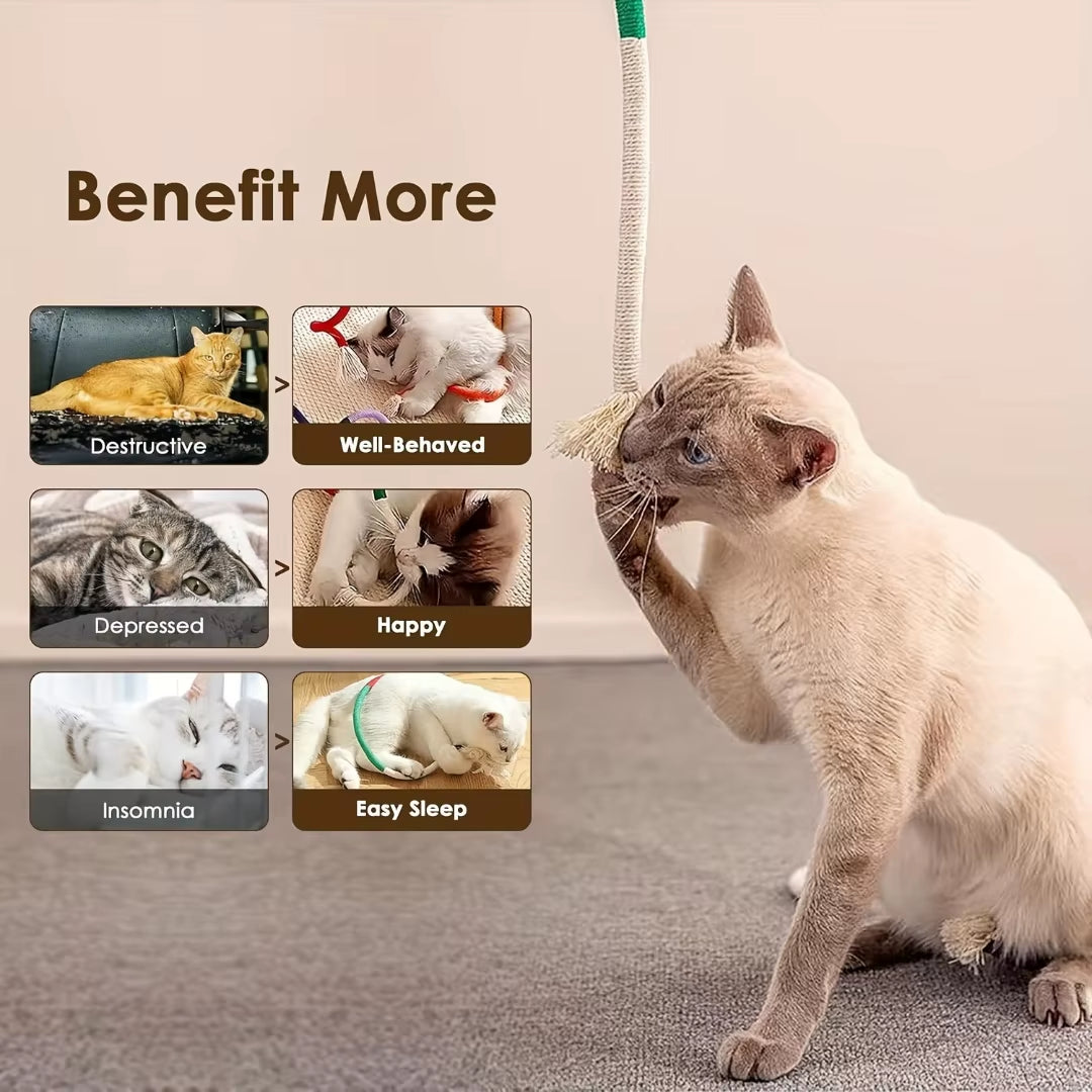 Catnip Rope Chew Toy – Cotton Teething & Teeth Cleaning for Cats