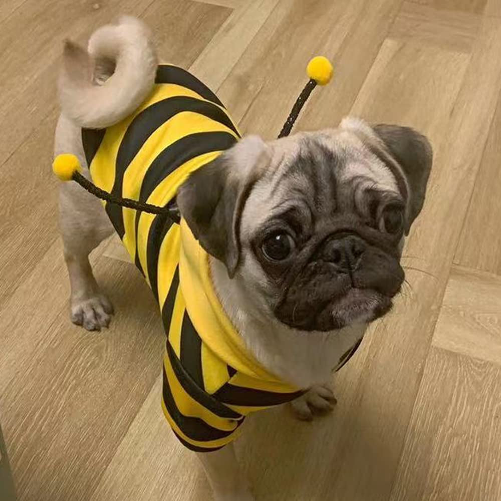 Bumble Bee Dog Hoodie – Warm Fleece Pet Costume for Small Dogs & Cats