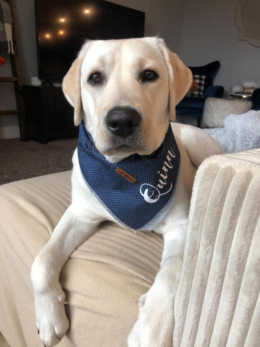 Cotton Dog Bandana – Triangle Scarf for Small, Medium & Large Dogs or Cats – Soft Kerchief Bib – Blue Pattern