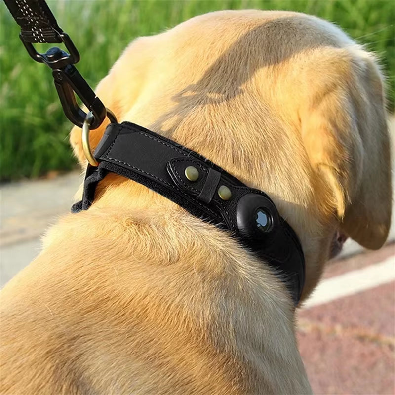 Luxury Leather Dog Collar with AirTag Holder – Adjustable & Anti-Lost