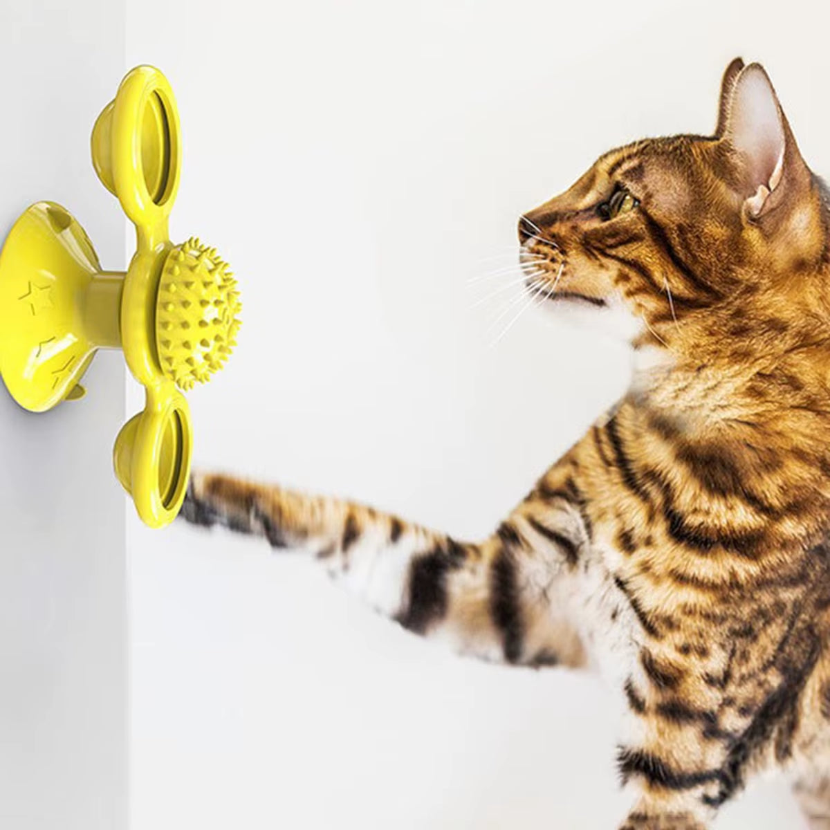 Multifunctional Cat Toy – Glowing Ball, Catnip & Suction Cup Design