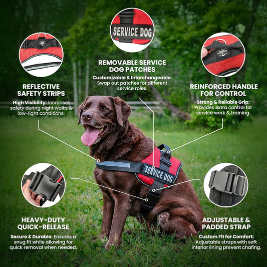 Service Dog in Training Vest with Handle – Reflective Harness with Hook & Loop Straps, Removable Patches & Mesh Lining (XXS–XXL)