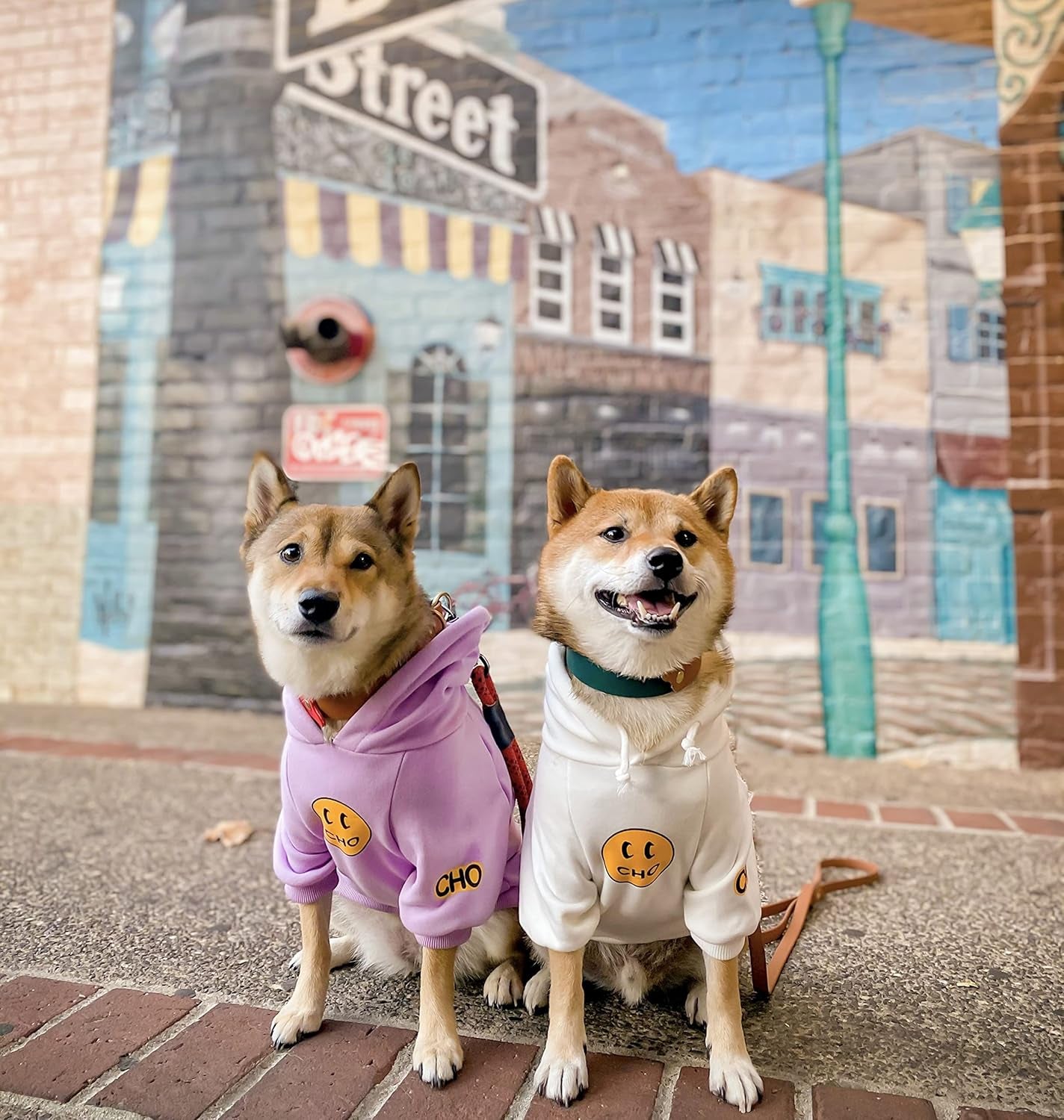 Smiley Face Dog Hoodie – Warm Cotton Sweatshirt with Velvet Lining for Small, Medium & Large Dogs – Leash Hole, Street Style Pet Outfit (Purple, M)