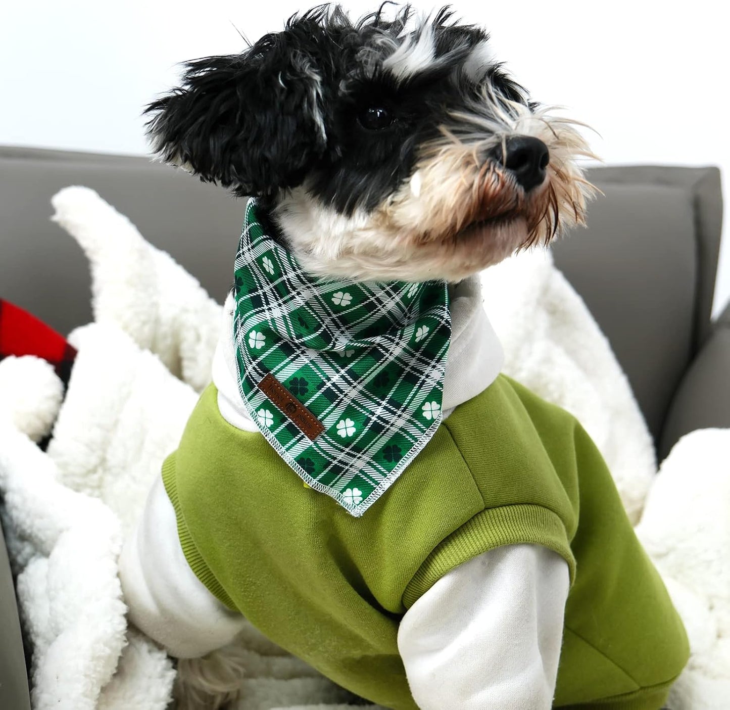 St. Patrick’s Day Dog Bandana – Green Clover Triangle Scarf for Small, Medium & Large Dogs or Cats – Soft Cotton Pet Kerchief