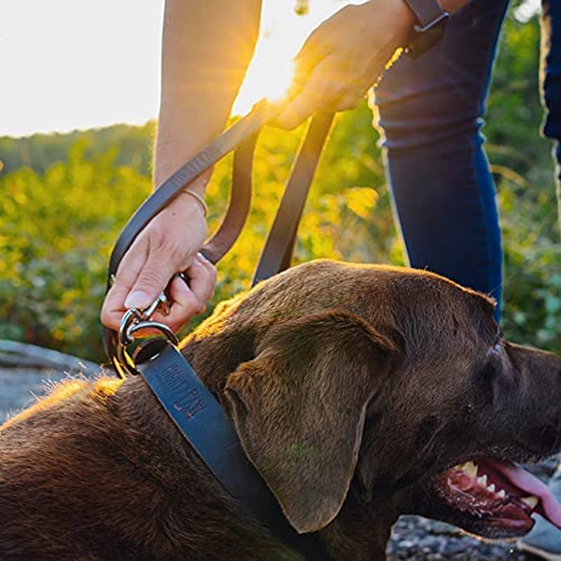 Leather Dog Leash – 100% Genuine Distressed Cowhide, Heavy-Duty for All Pet Sizes, Soft & Stylish Design – Mighty Paw