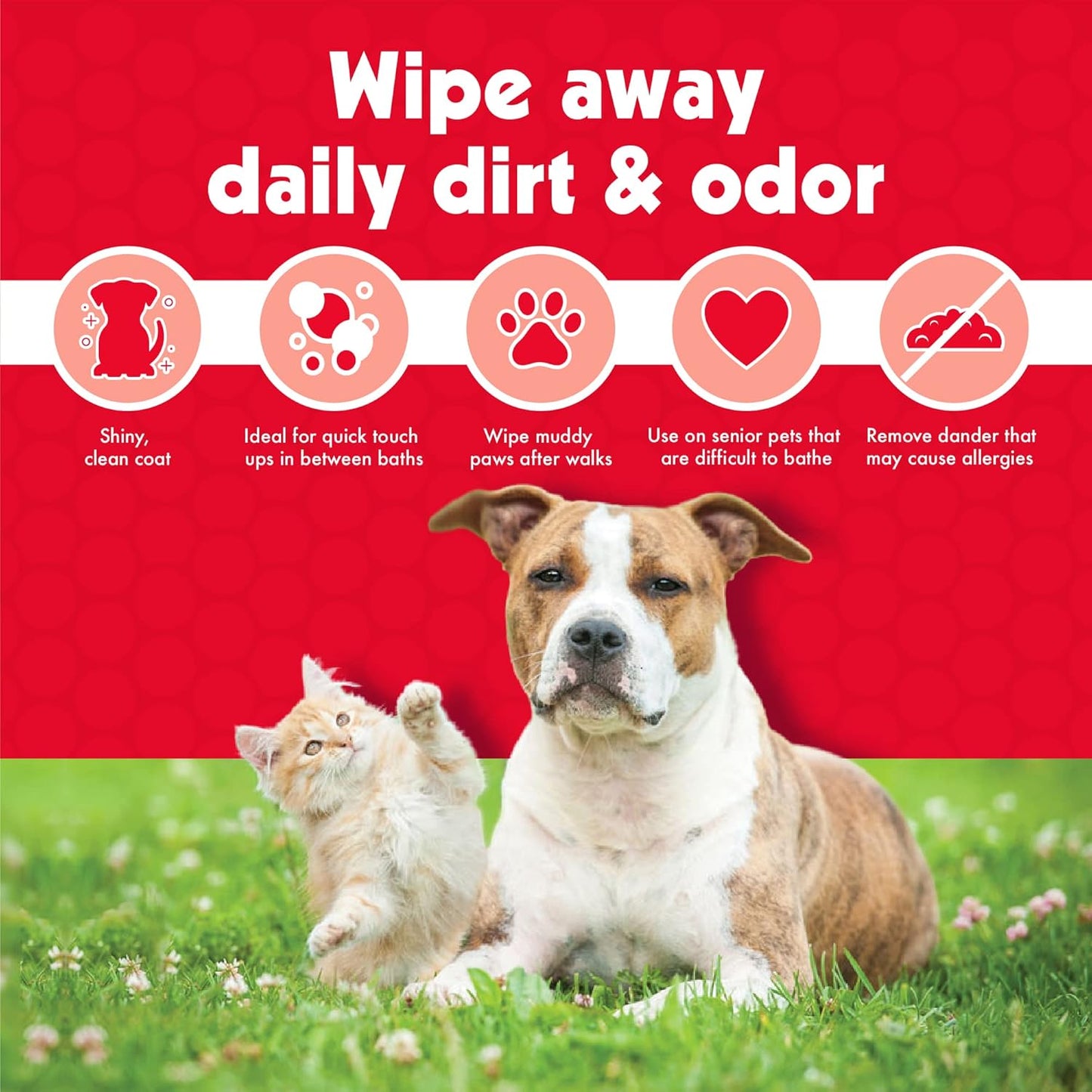 Pet Wipes for Dogs & Cats – 100 Large Aloe-Enriched Grooming Wipes – Removes Dirt & Odor – Cleans Ears, Face, Paws & Butt – Fresh Scent