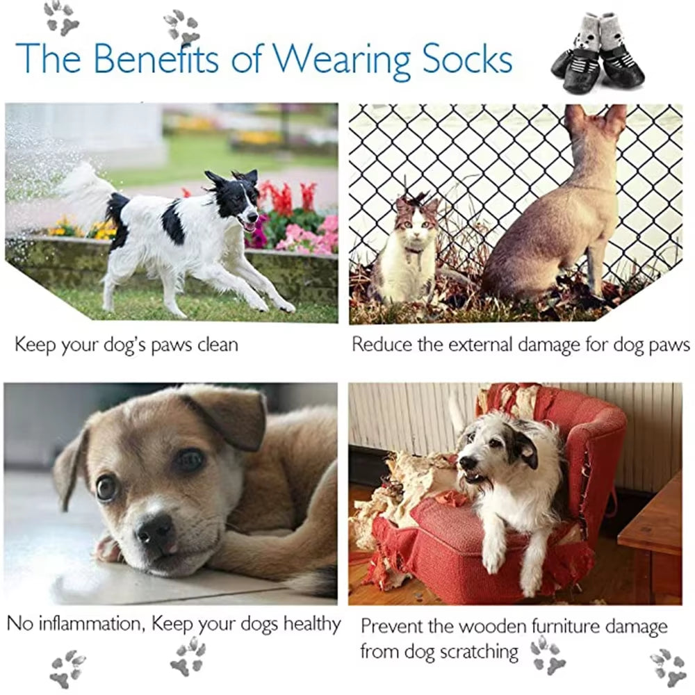 4Pcs Waterproof Winter Pet Shoes – Anti-Slip & Warm Dog/Cat Boots