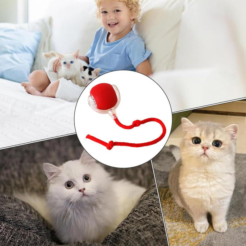 Interactive Cat Toy Ball – Automatic Rolling Motion-Sensor Pet Toy for Indoor Cats & Dogs (7cm)