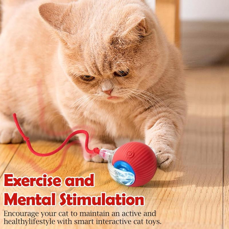 Interactive Cat Toy Ball – Automatic Rolling Motion-Sensor Pet Toy for Indoor Cats & Dogs (7cm)