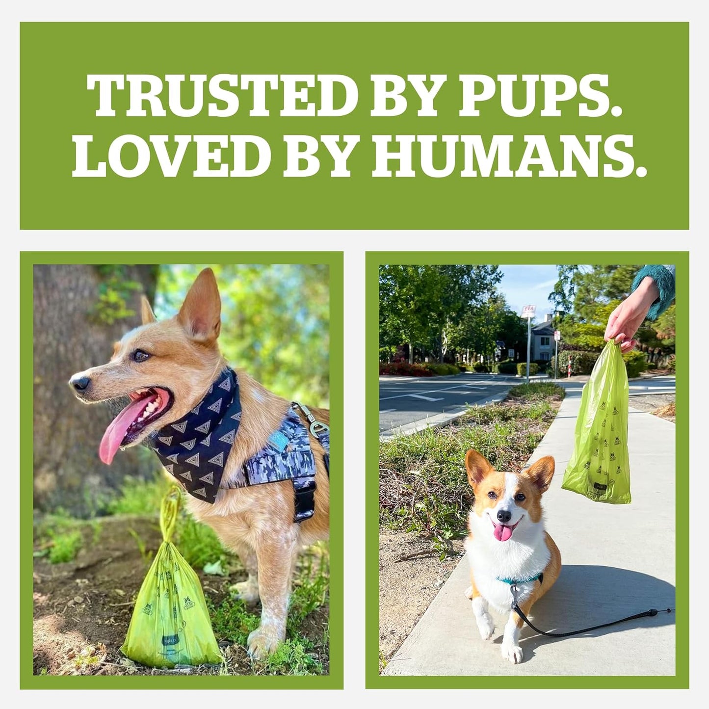 Pogi’s Dog Poop Bags – Extra Thick, Leak-Proof Pet Waste Bags (Unscented, 450 Count – 30 Rolls)