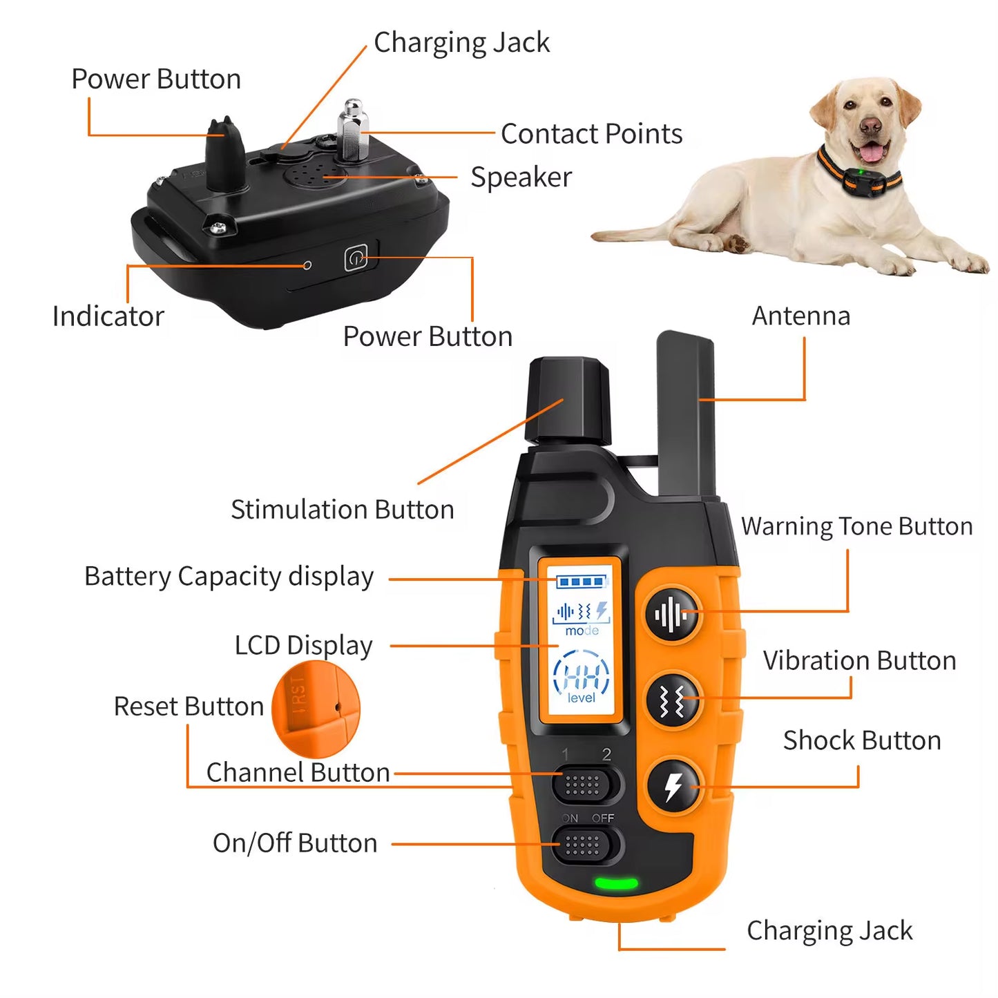 Waterproof Electric Dog Training Collar – 3300Ft Remote, Shock & Vibration