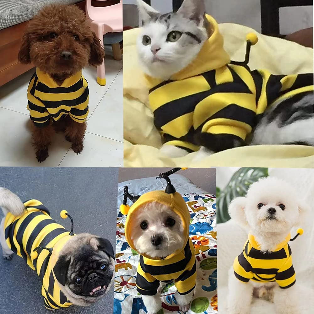 Bumble Bee Dog Hoodie – Warm Fleece Pet Costume for Small Dogs & Cats