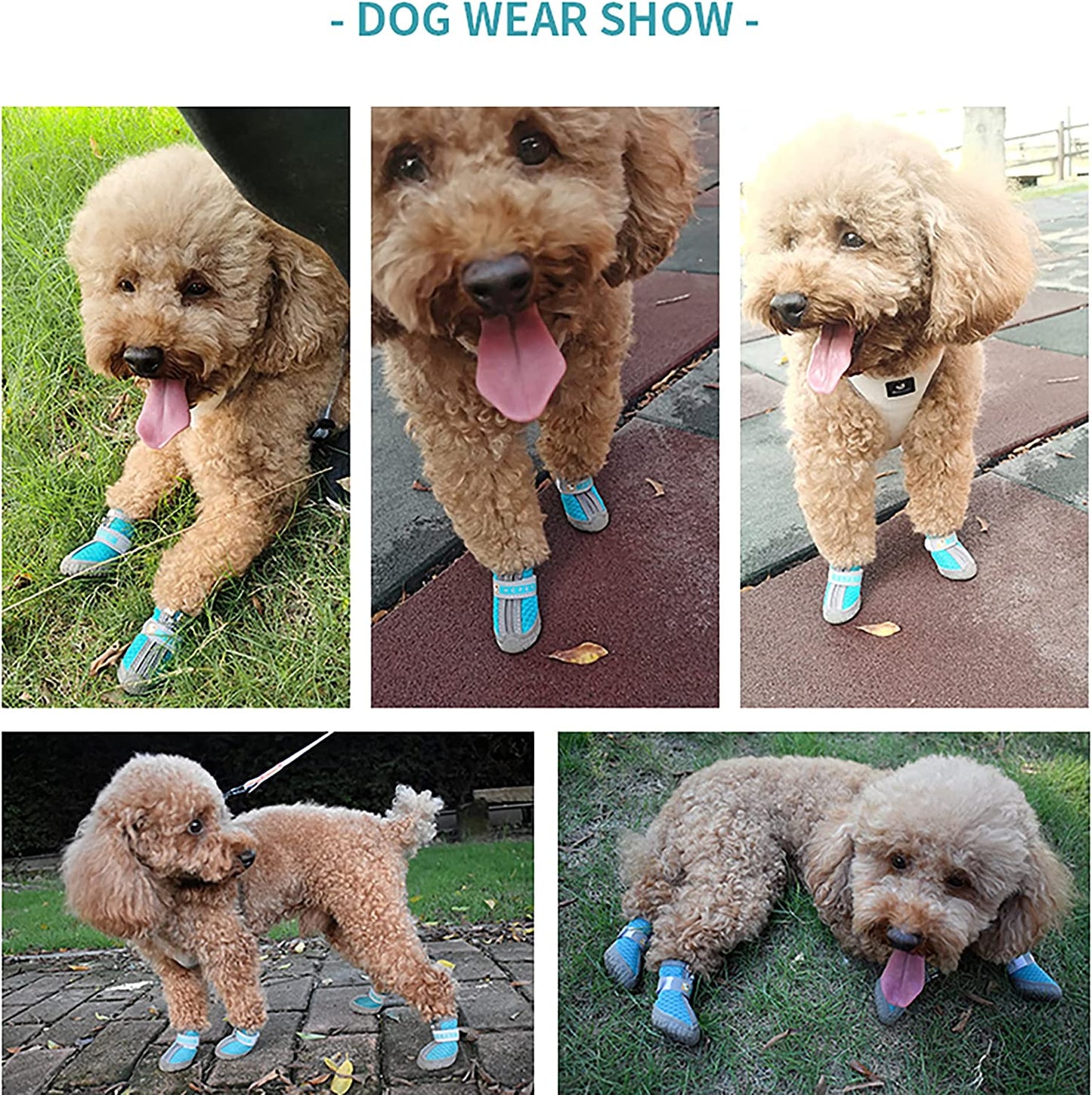 Dog Hiking Boots – Paw Protector with Anti-Slip Sole, Breathable, Adjustable (Blue, Size 4, 4-Pack)