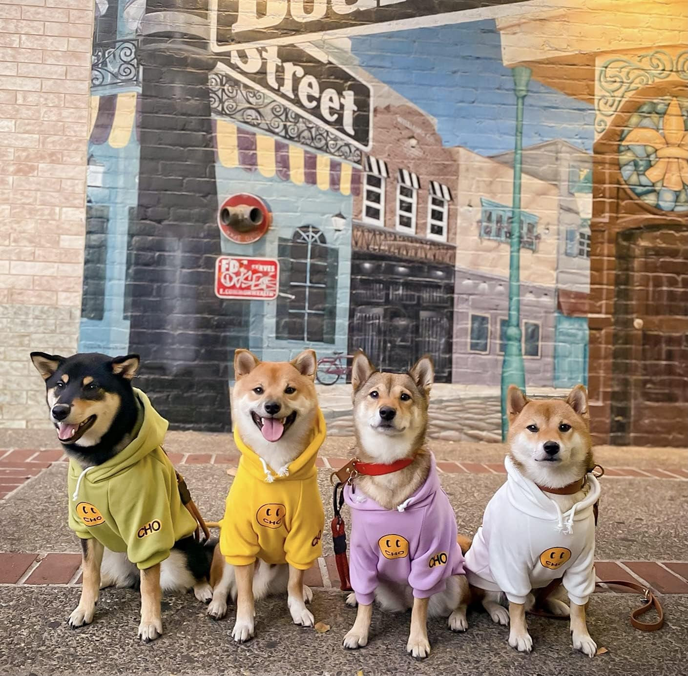 Smiley Face Dog Hoodie – Warm Cotton Sweatshirt with Velvet Lining for Small, Medium & Large Dogs – Leash Hole, Street Style Pet Outfit (Purple, M)