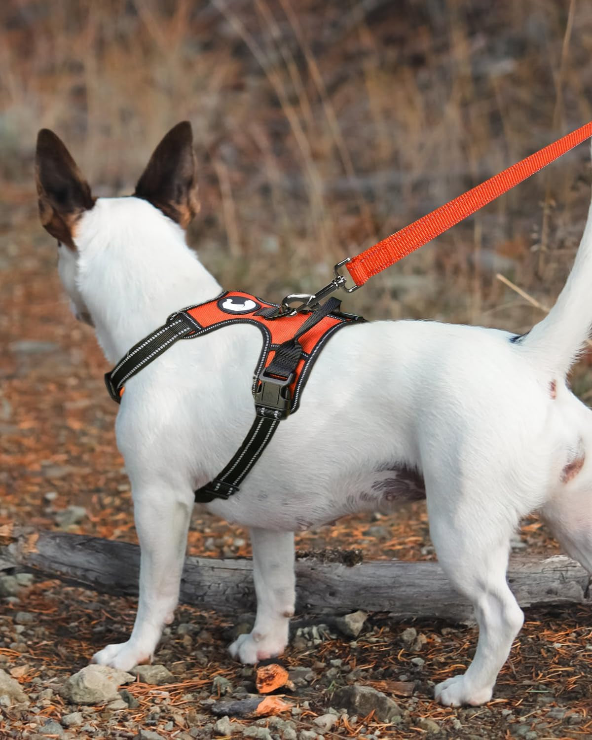 Double-Sided Reflective Dog Leash – 5FT Heavy Duty Nylon with Padded Handle & 360° Swivel Clasp – Medium & Large Dogs – Orange