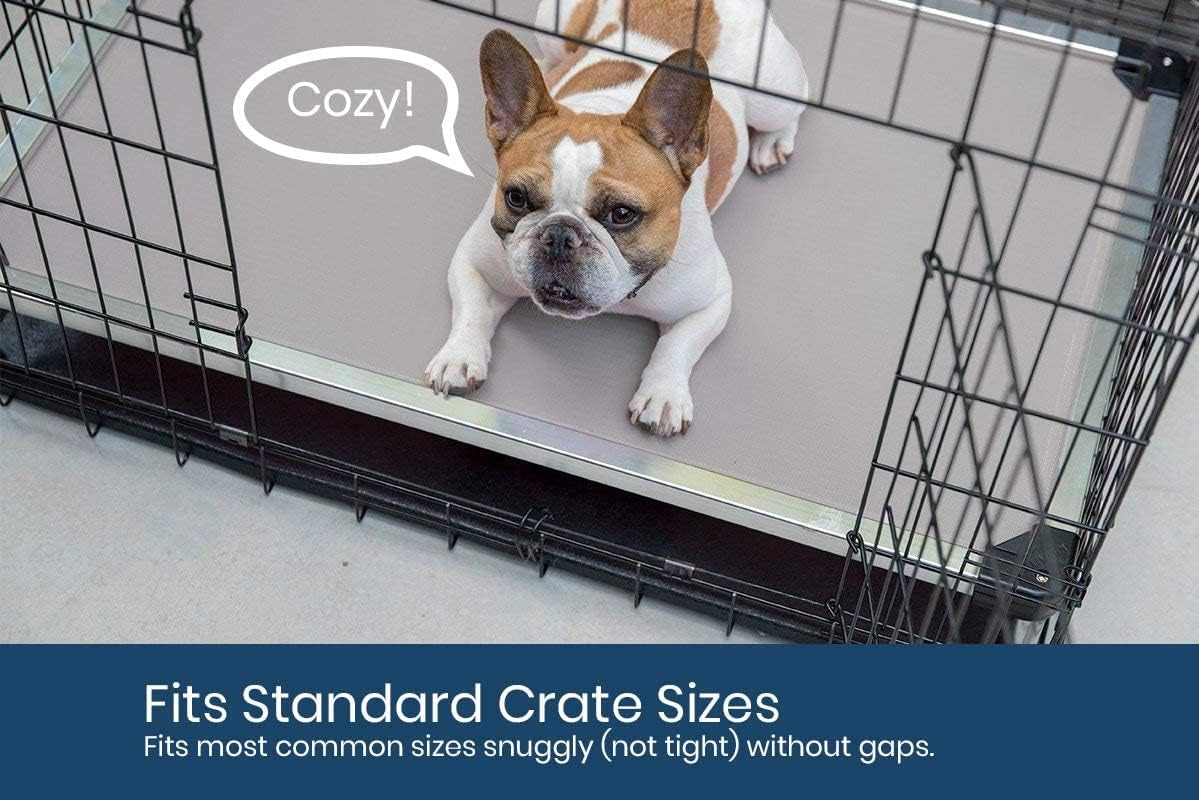 Chew Proof Elevated Cooling Dog Bed – Indestructible Aluminum Frame & Ripstop Fabric – For Aggressive Chewers – Pre-Assembled, Large Blue Quartz