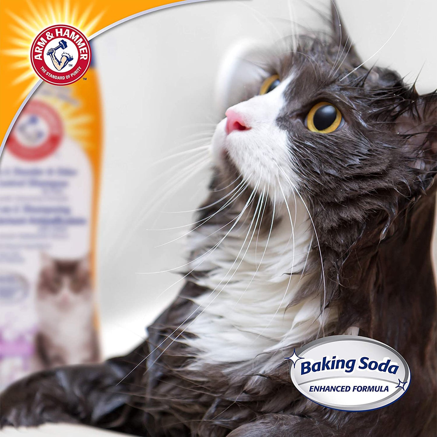 Arm & Hammer 2-in-1 Cat Shampoo – Dander & Odor Control with Baking Soda, Lavender Chamomile – 20 fl oz