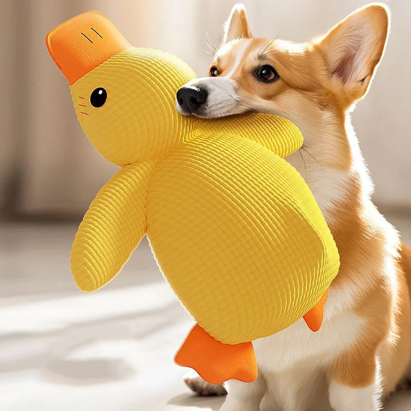 Plush Duck Dog Toy – Bite-Resistant with Squeaker, S/M/L Sizes