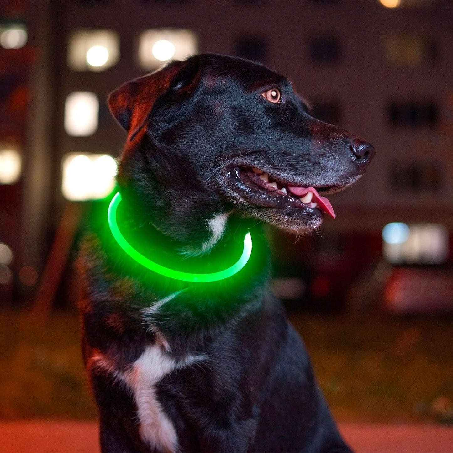 LED Dog Collar – USB Rechargeable Light-Up Safety Necklace for Small, Medium & Large Dogs – Adjustable, 3 Modes, 360° Visibility (Green)