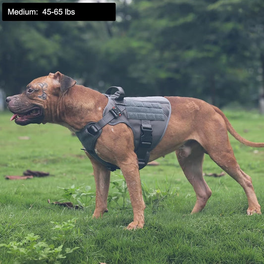 Tactical Dog Harness – Medium, 2X Metal Buckles, MOLLE Vest with Handle, No-Pull Front Clip, Adjustable Working Dog Vest