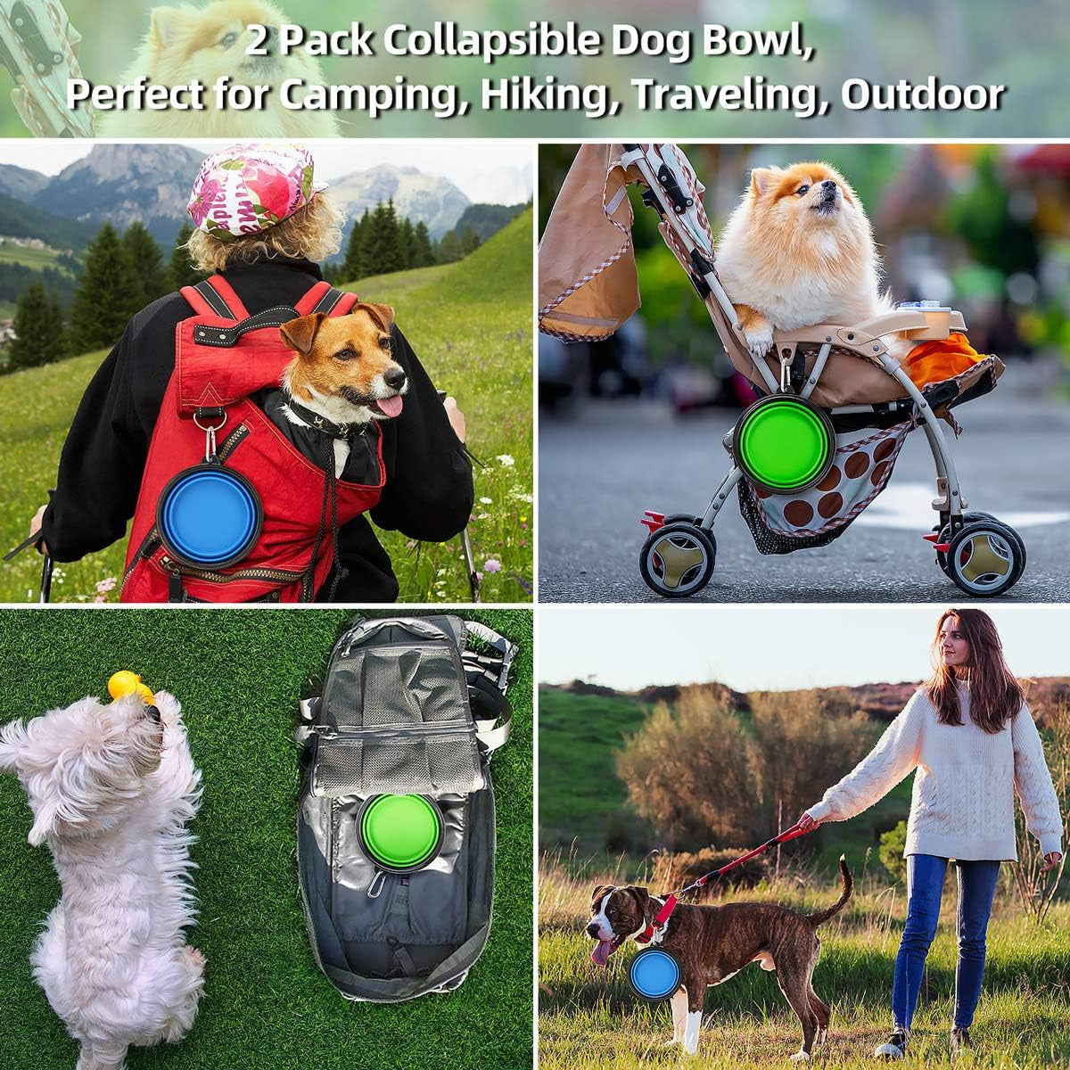 Collapsible Dog Bowls 2-Pack (34oz) – Portable Foldable Pet Travel Bowls with Clasp for Food & Water – Kytely (Blue & Green)