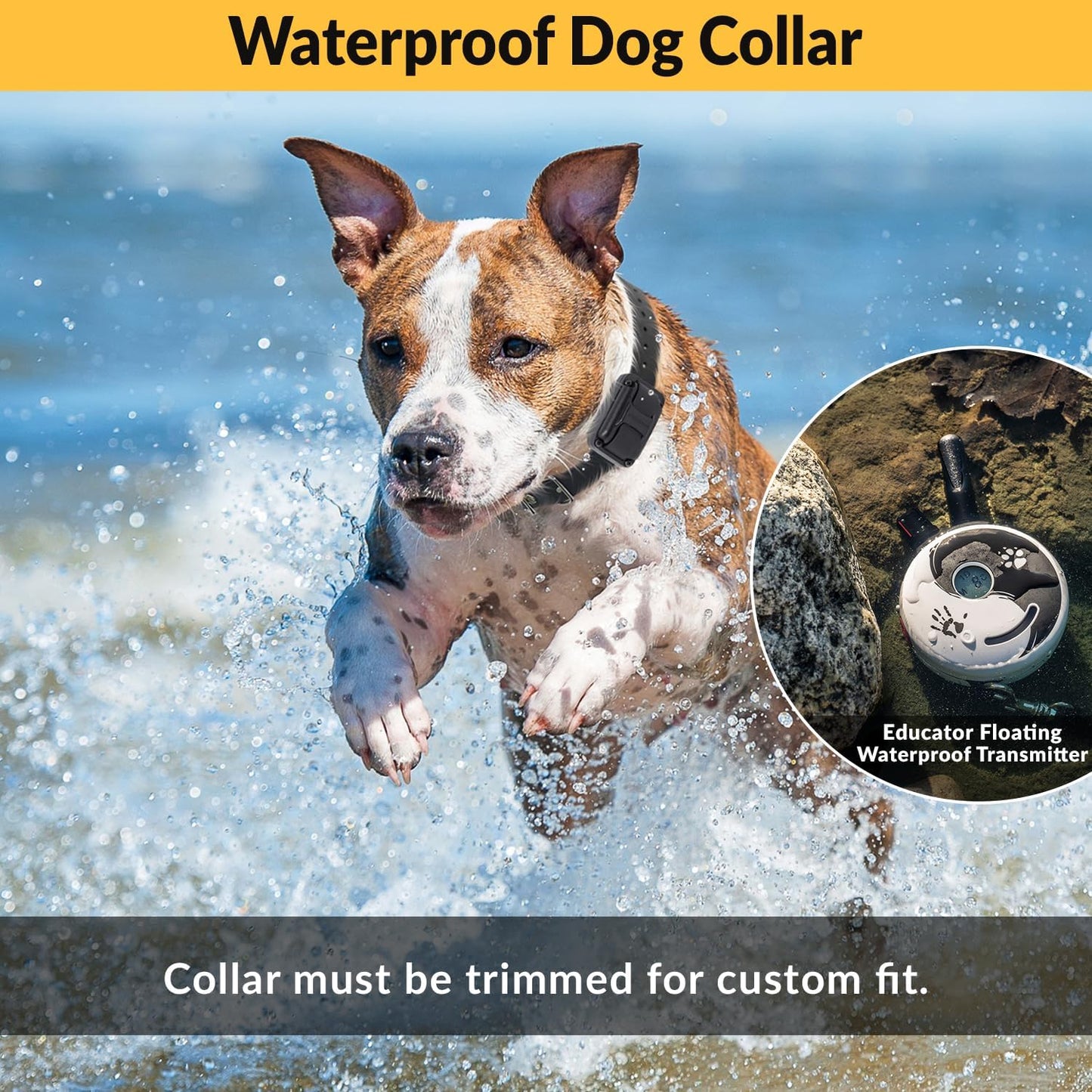 E-Collar Zen-300 Dog Training Collar – ½ Mile Range, Remote + Finger Clicker