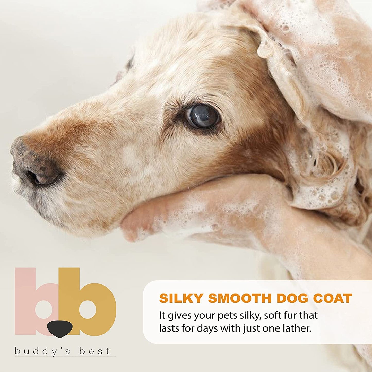 Buddy’s Best Oatmeal Dog Shampoo & Conditioner – Hypoallergenic, Lavender Scent, Moisturizing for Sensitive Skin – 16 oz