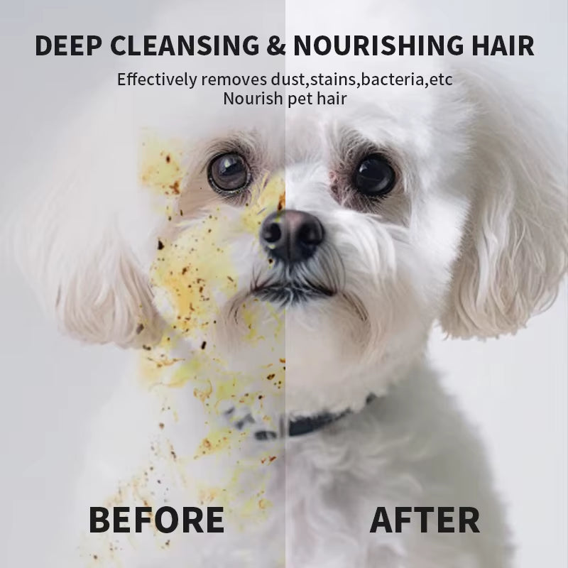 6PCS Pet Wash-Free Cleaning Gloves – Disposable Bath & Deodorizing Wipes