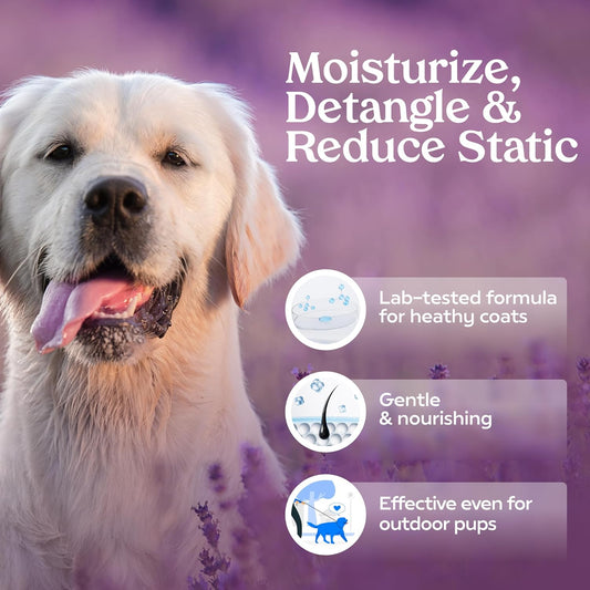 Pawfume Dog Detangler Grooming Spray – Royal Lavender – Long-Lasting Freshness, Hypoallergenic & Alcohol-Free – Coat Deodorizer & Moisturizer – 8oz
