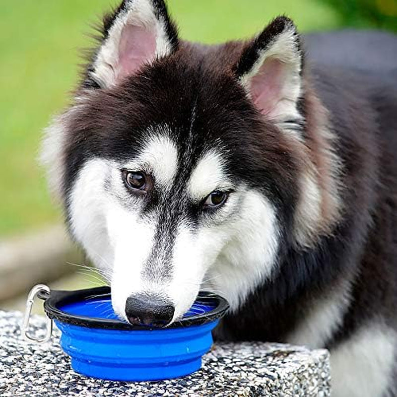 Collapsible Dog Bowls 2-Pack (34oz) – Portable Foldable Pet Travel Bowls with Clasp for Food & Water – Kytely (Blue & Green)