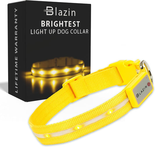 Light up Dog Collar - the Original LED Dog Collar - USB Rechargeable - Waterproof - 1,000 Feet of Visibility - Dog Collar Light for Small, Medium, Large Dogs - USA Brand