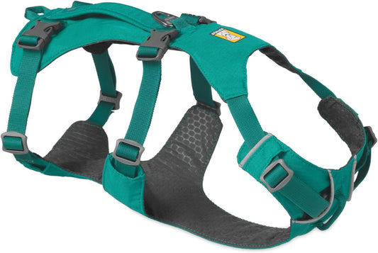 Flagline Dog Harness – Reflective, Padded No-Pull Harness with Handle (Meltwater Teal, Medium)