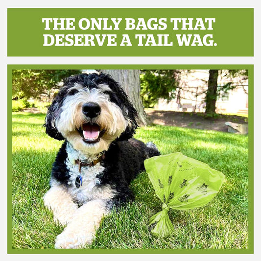 Pogi’s Dog Poop Bags – Extra Thick, Leak-Proof Pet Waste Bags (Unscented, 450 Count – 30 Rolls)