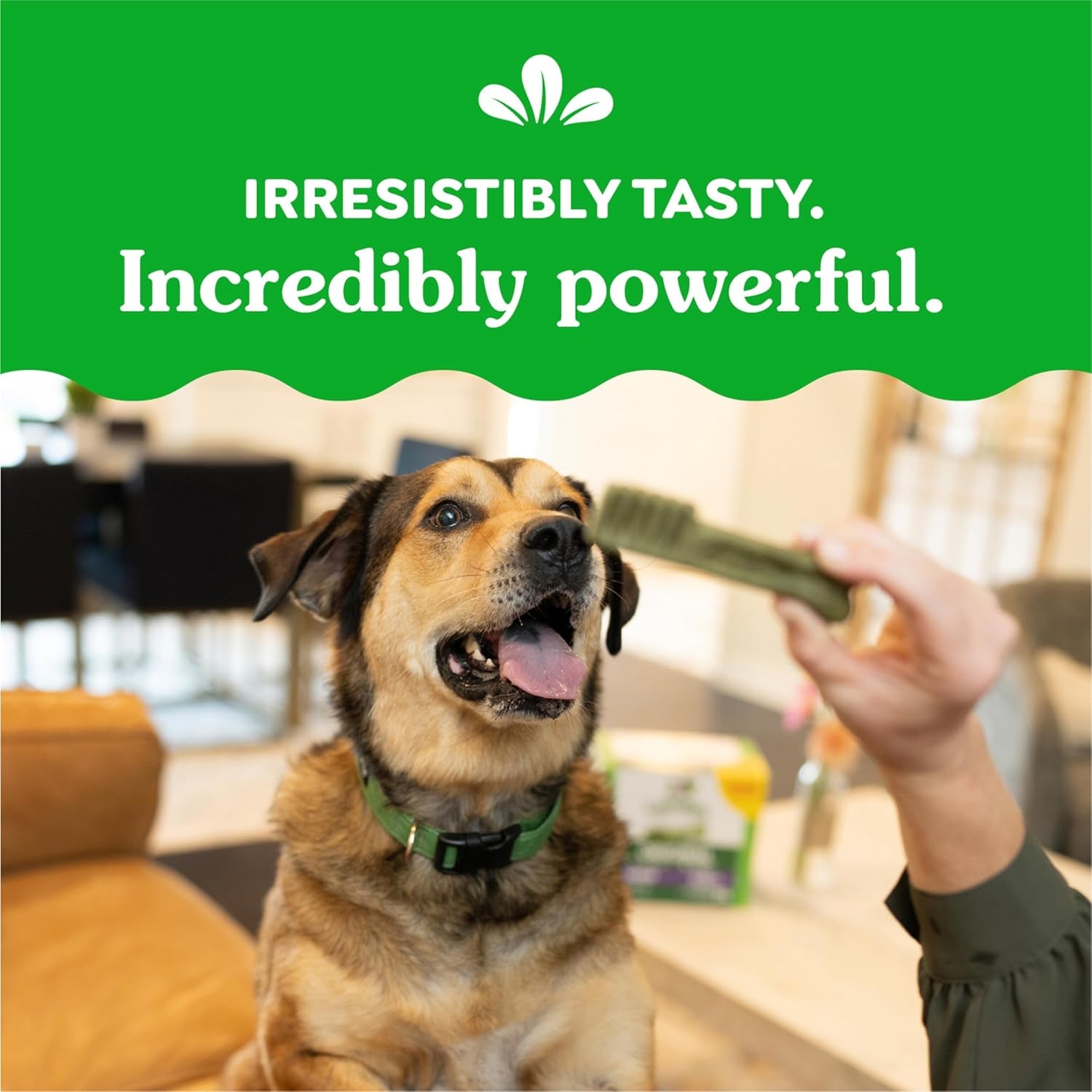 Greenies Original Large Dental Dog Treats – 54 oz Pack (34 Chews) – VOHC Approved Oral Care
