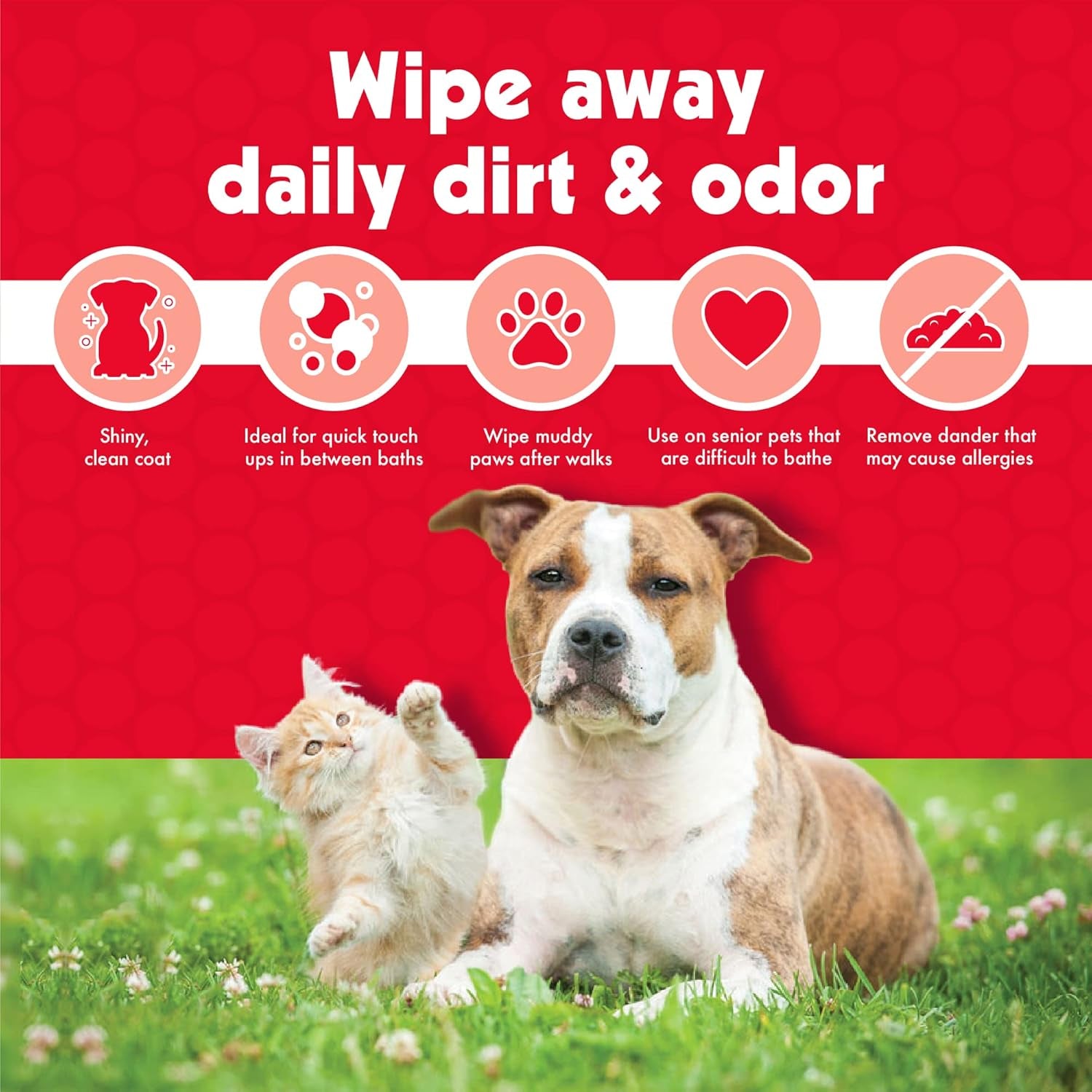 Pet Wipes for Dogs & Cats – 100 Large Aloe-Enriched Grooming Wipes – Removes Dirt & Odor – Cleans Ears, Face, Paws & Butt – Fresh Scent