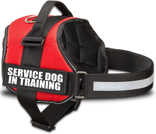 Service Dog in Training Vest with Handle – Reflective Harness with Hook & Loop Straps, Removable Patches & Mesh Lining (XXS–XXL)