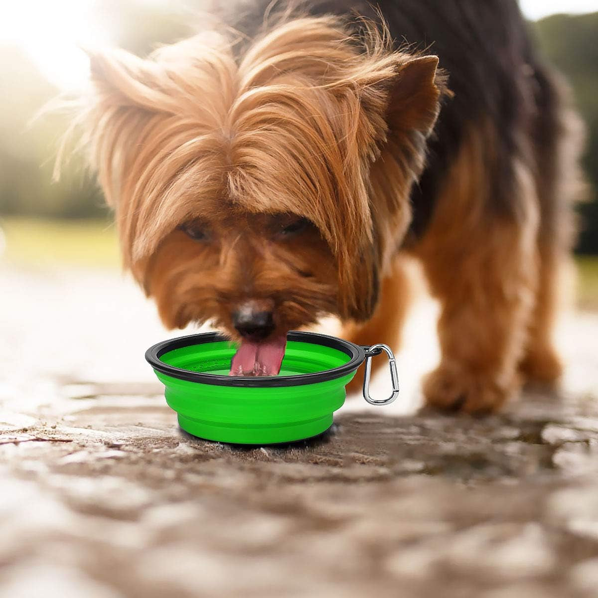 Collapsible Dog Bowls 2-Pack (34oz) – Portable Foldable Pet Travel Bowls with Clasp for Food & Water – Kytely (Blue & Green)