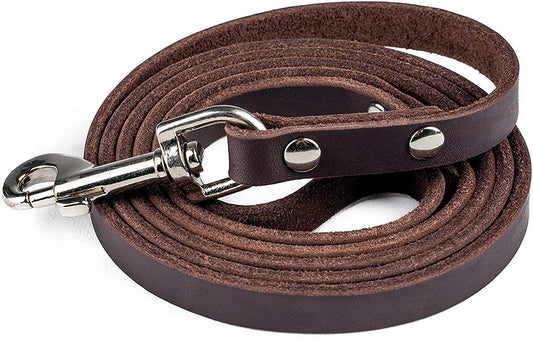Leather Dog Leash – 100% Genuine Distressed Cowhide, Heavy-Duty for All Pet Sizes, Soft & Stylish Design – Mighty Paw