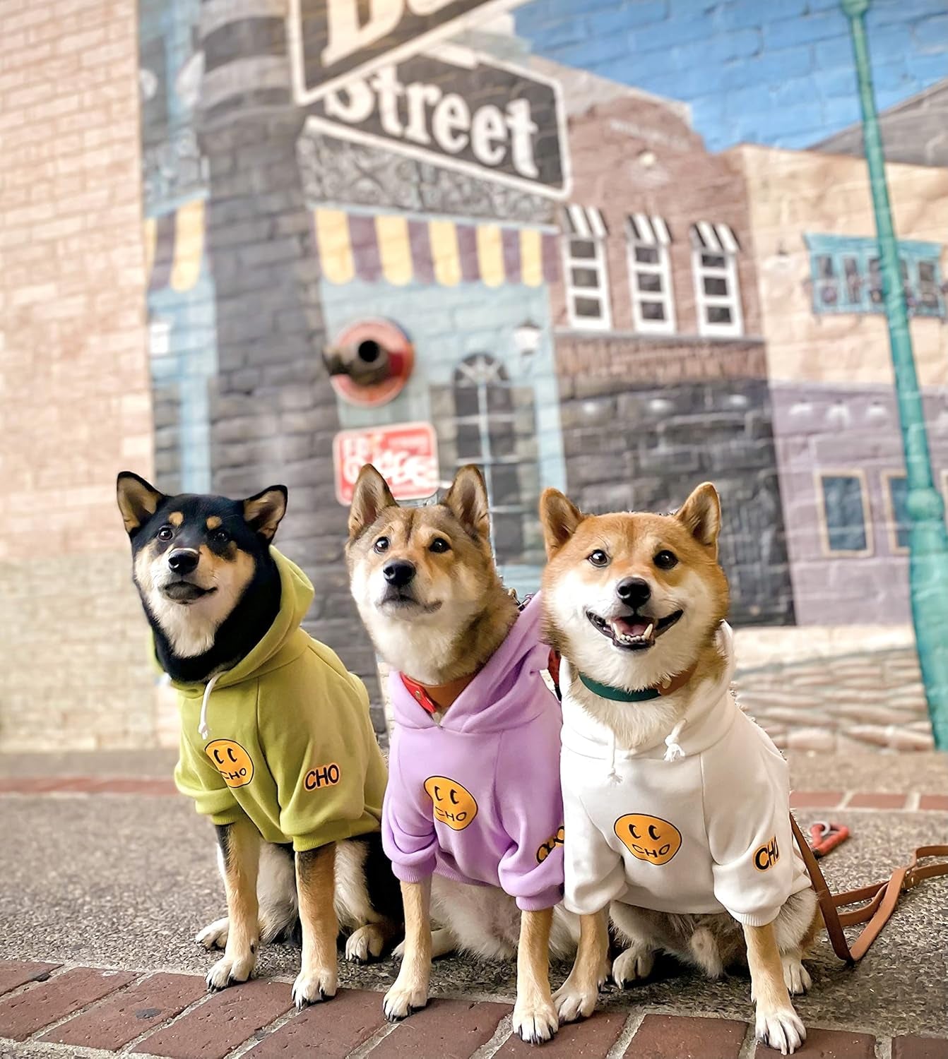 Smiley Face Dog Hoodie – Warm Cotton Sweatshirt with Velvet Lining for Small, Medium & Large Dogs – Leash Hole, Street Style Pet Outfit (Purple, M)